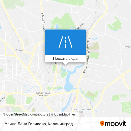 Карта Улица Лёни Голикова