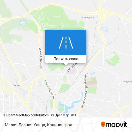 Карта Малая Лесная Улица