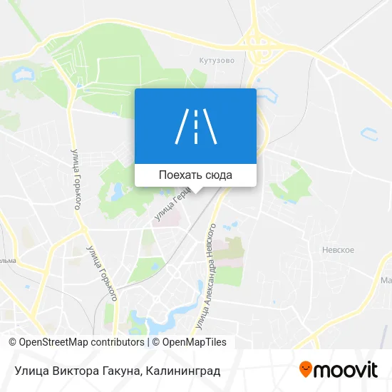 Карта Улица Виктора Гакуна