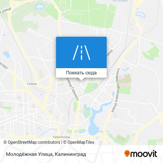 Карта Молодёжная Улица