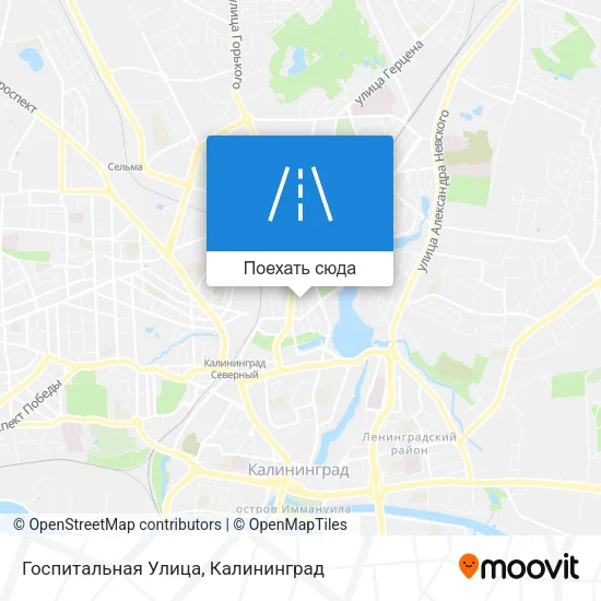 Карта Госпитальная Улица