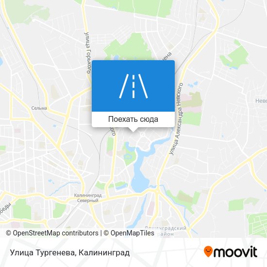 Карта Улица Тургенева