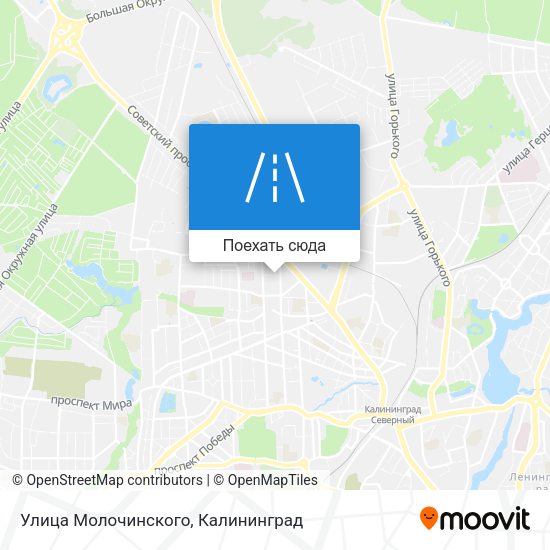 Карта Улица Молочинского