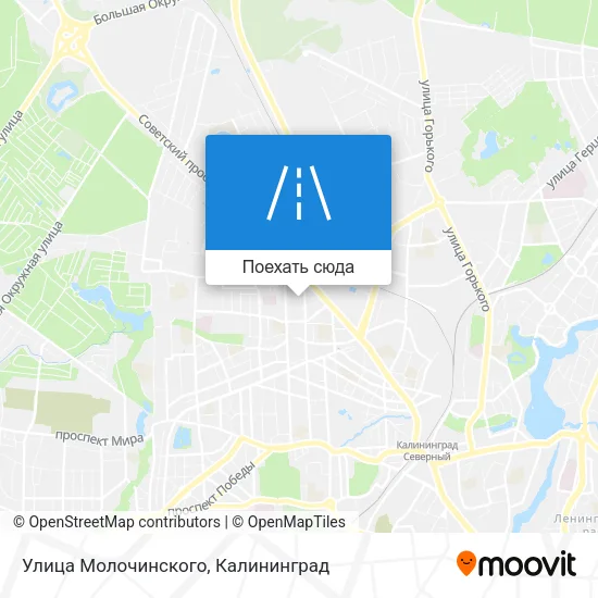 Карта Улица Молочинского