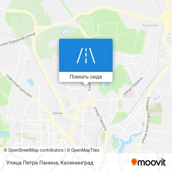 Карта Улица Петра Панина