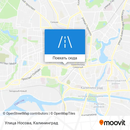 Карта Улица Носова