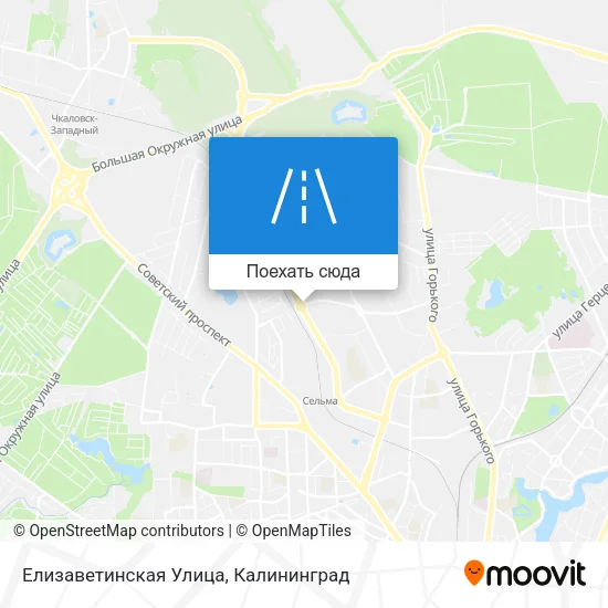 Карта Елизаветинская Улица