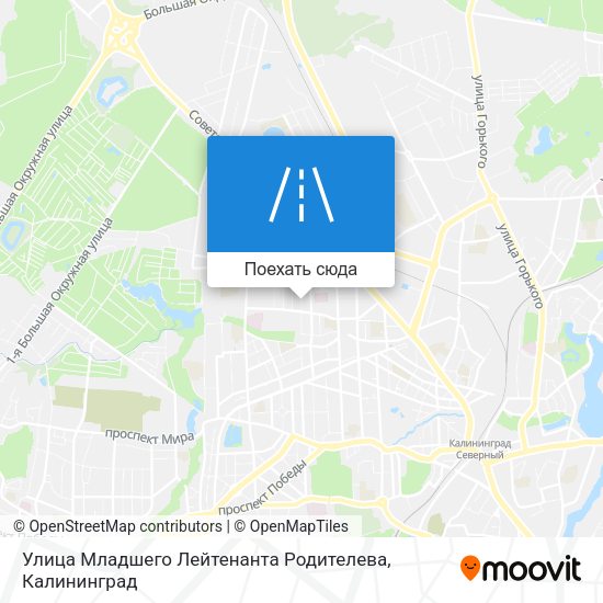 Карта Улица Младшего Лейтенанта Родителева