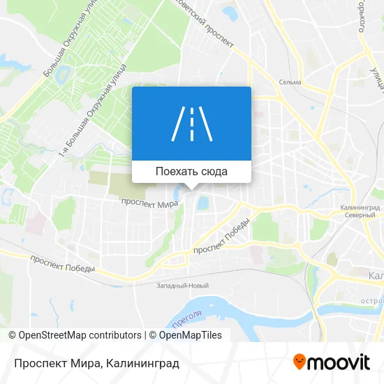 Карта Проспект Мира