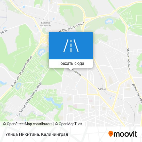 Карта Улица Никитина