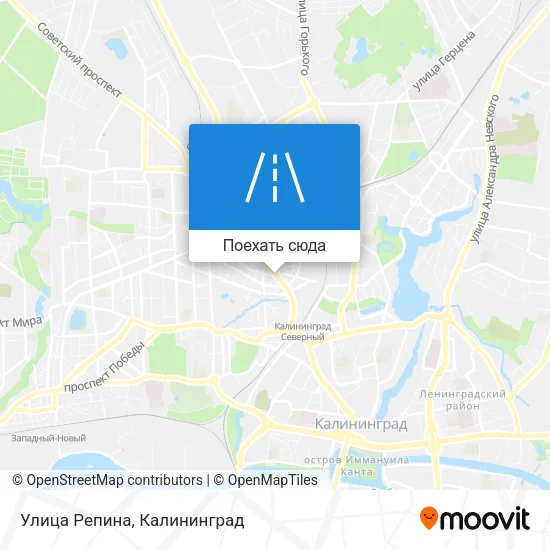 Карта Улица Репина