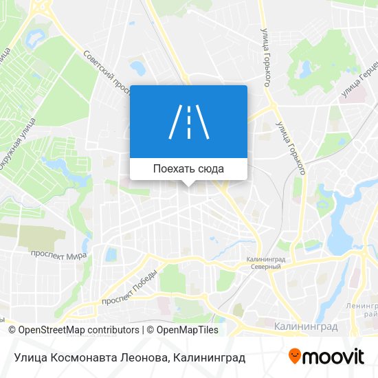 Карта Улица Космонавта Леонова
