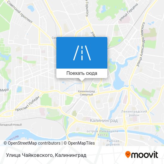 Карта Улица Чайковского