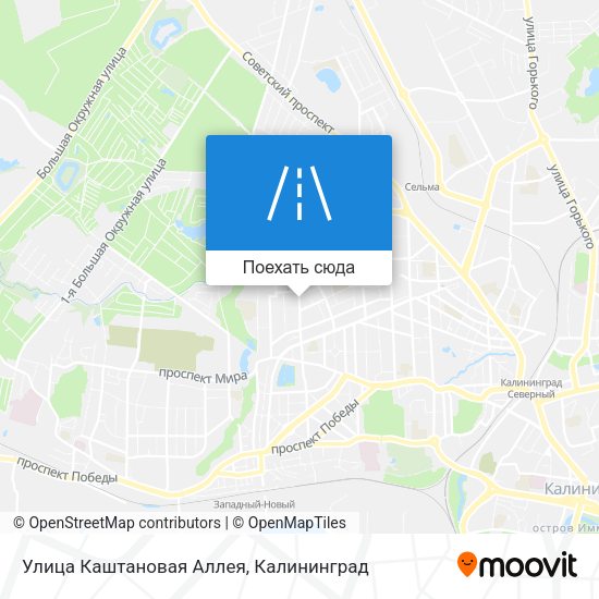 Карта Улица Каштановая Аллея
