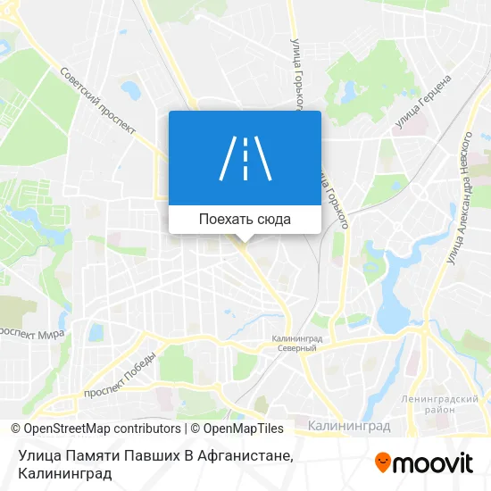 Карта Улица Памяти Павших В Афганистане