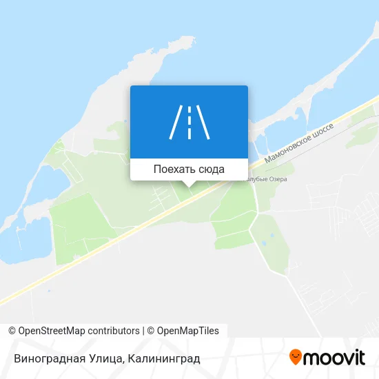 Карта Виноградная Улица