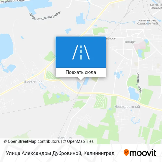 Карта Улица Александры Дубровиной
