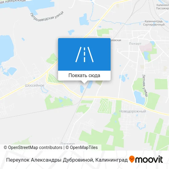 Карта Переулок Александры Дубровиной