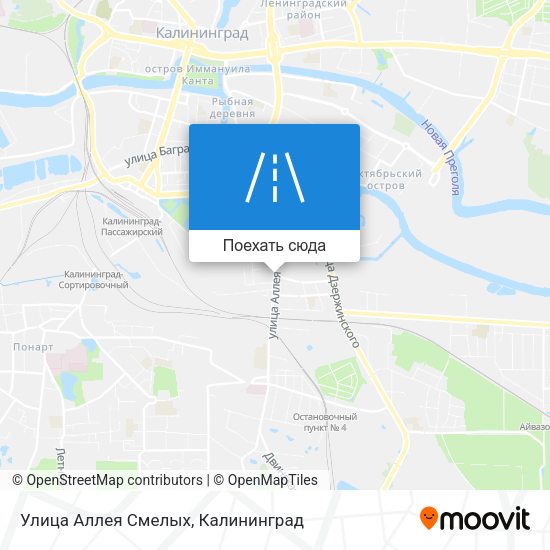 Карта Улица Аллея Смелых