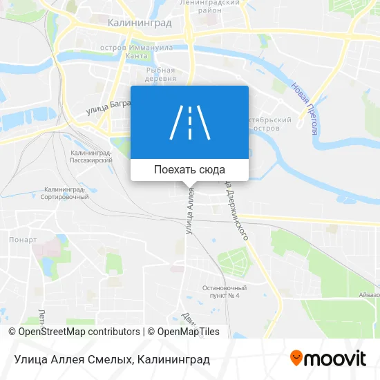 Карта Улица Аллея Смелых