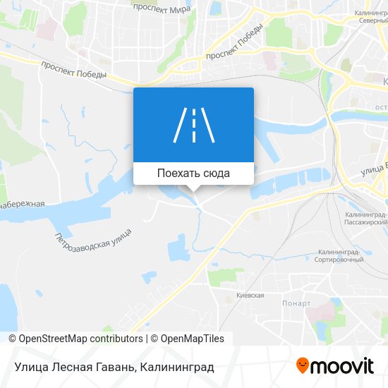 Карта Улица Лесная Гавань