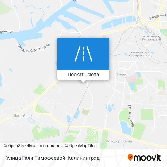 Карта Улица Гали Тимофеевой