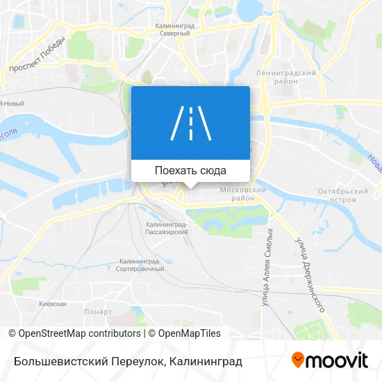 Карта Большевистский Переулок