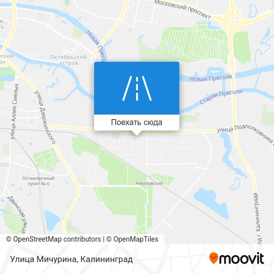 Карта Улица Мичурина