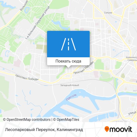 Карта Лесопарковый Переулок