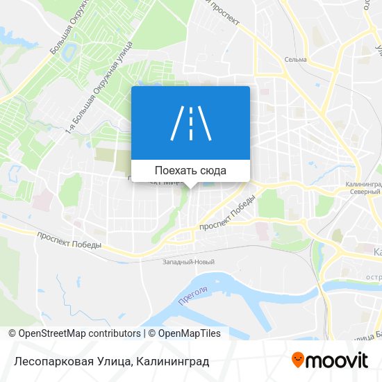 Карта Лесопарковая Улица