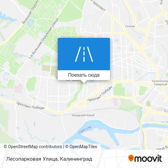 Карта Лесопарковая Улица