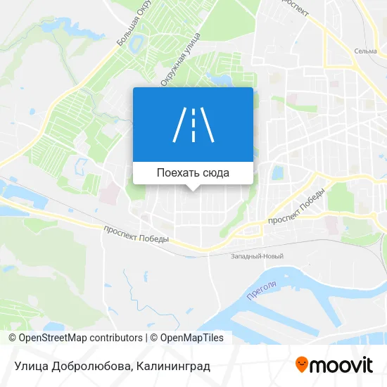 Карта Улица Добролюбова