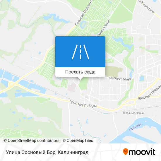 Карта Улица Сосновый Бор