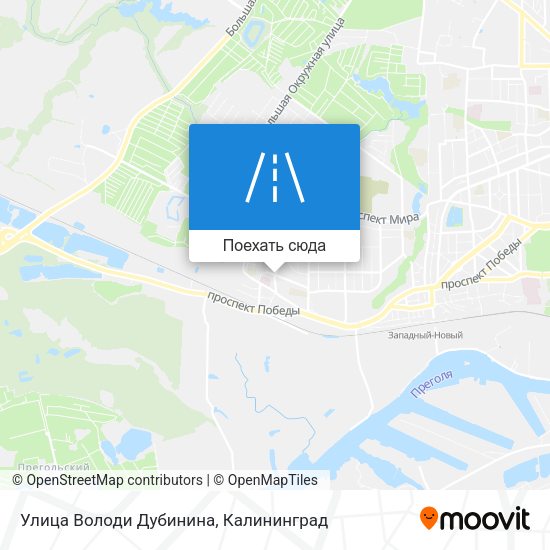 Карта Улица Володи Дубинина