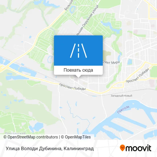 Карта Улица Володи Дубинина