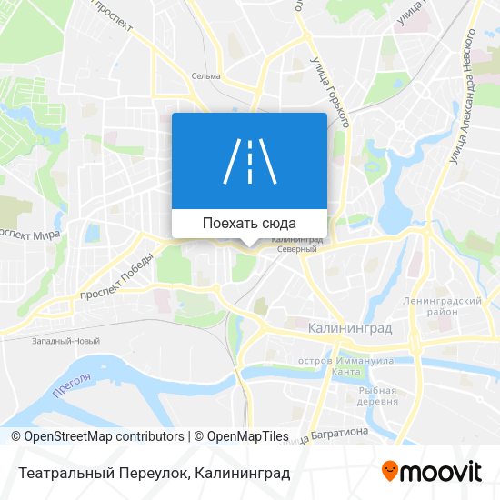 Карта Театральный Переулок