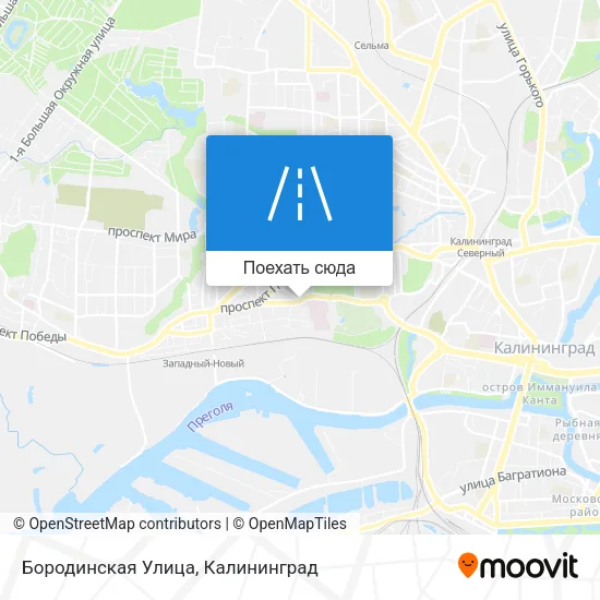 Карта Бородинская Улица