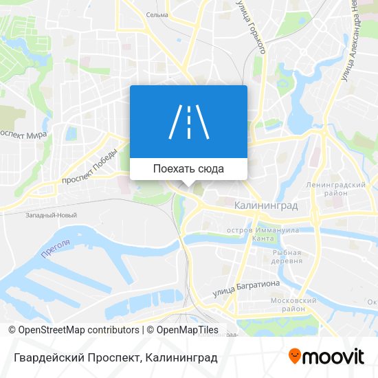 Карта Гвардейский Проспект