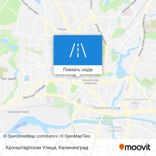 Карта Кронштадтская Улица