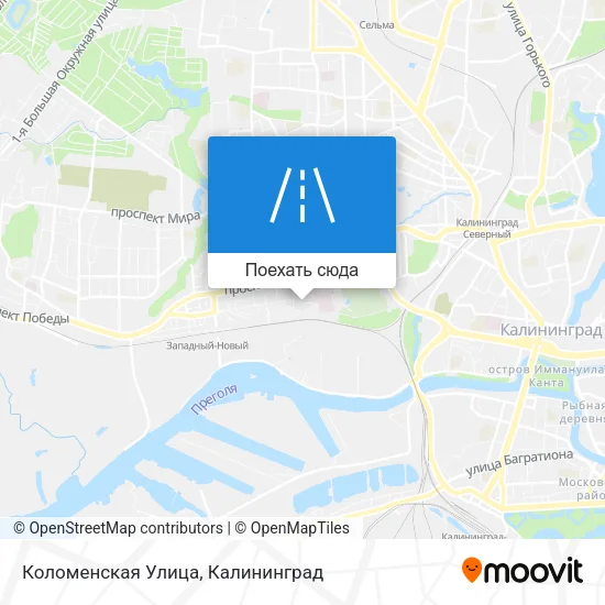 Карта Коломенская Улица