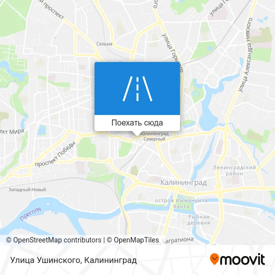 Карта Улица Ушинского