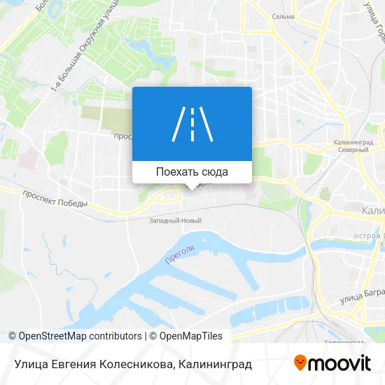 Карта Улица Евгения Колесникова
