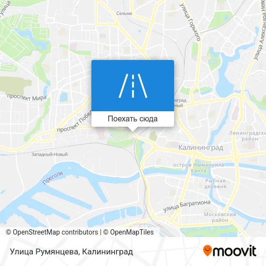 Карта Улица Румянцева