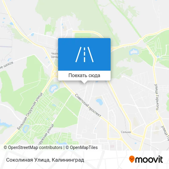 Карта Соколиная Улица