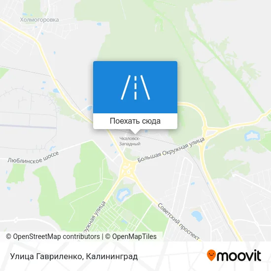 Карта Улица Гавриленко