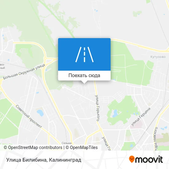 Карта Улица Билибина