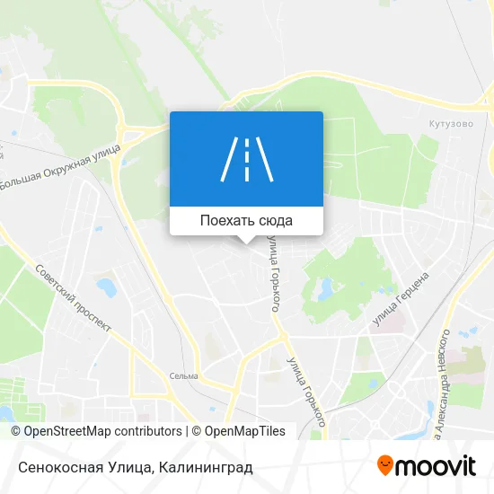 Карта Сенокосная Улица