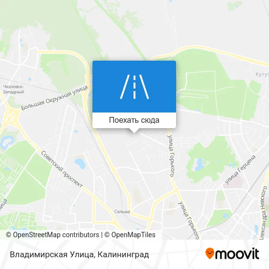 Карта Владимирская Улица