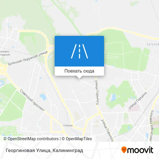 Карта Георгиновая Улица