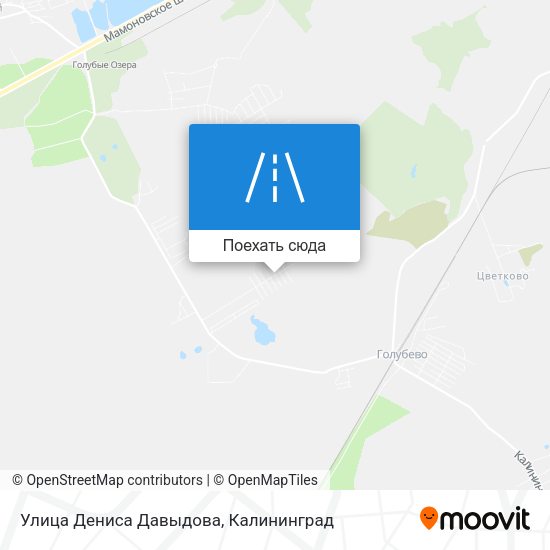Карта Улица Дениса Давыдова